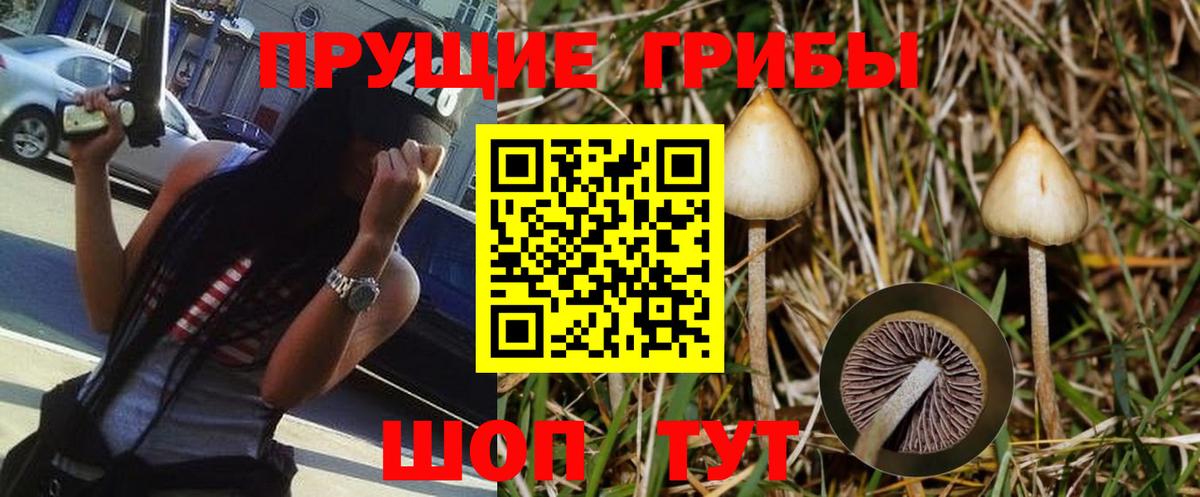 Псилоцибиновые грибы Cubensis Керчь